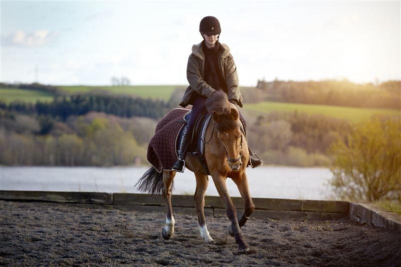 Irsk Sportspony Coillcru Flight billede 18