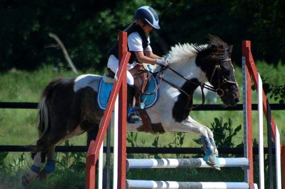 Anden særlig race Victor billede 1