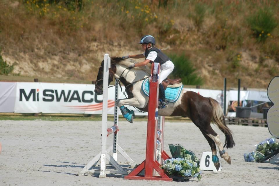 Anden særlig race Victor billede 2