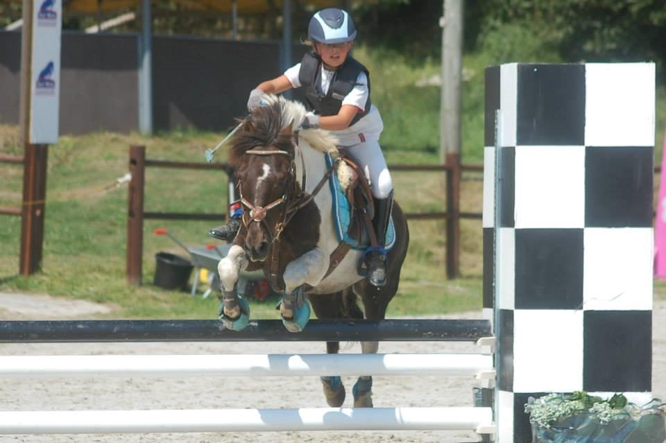 Anden særlig race Victor billede 3