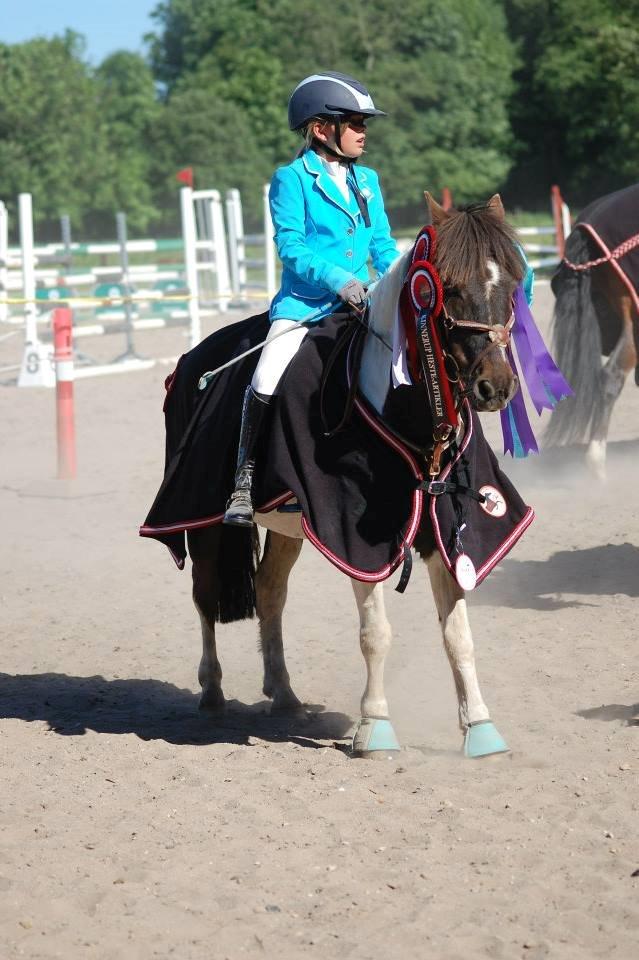 Anden særlig race Victor billede 4