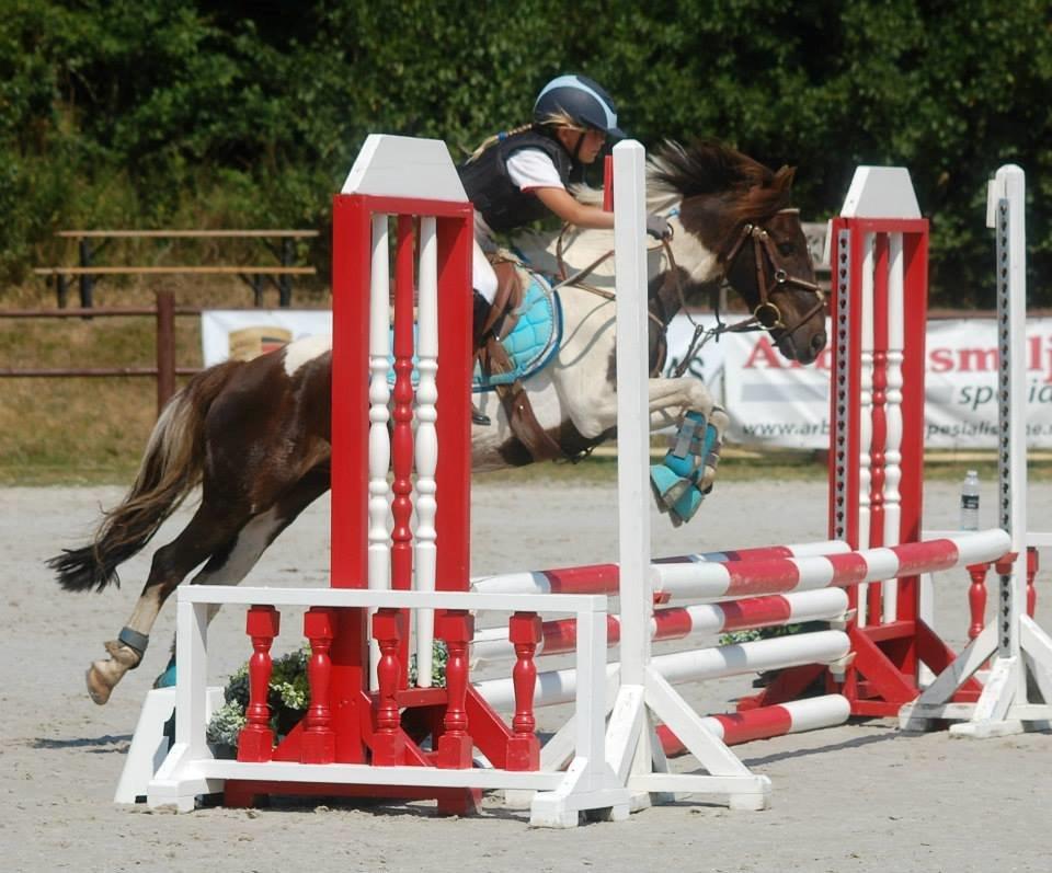 Anden særlig race Victor billede 5