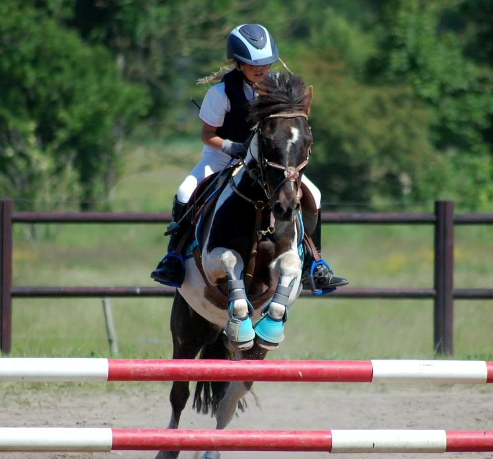 Anden særlig race Victor billede 6