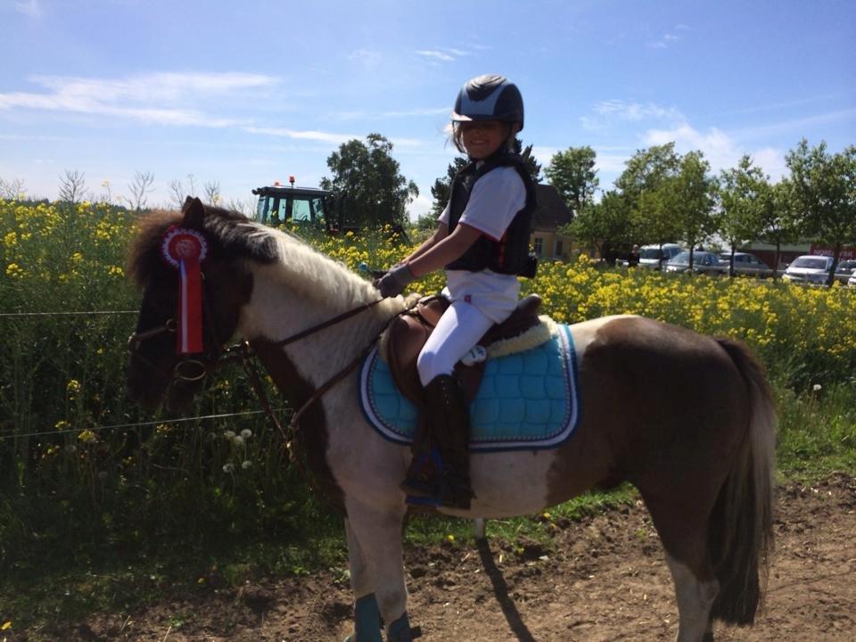 Anden særlig race Victor billede 7