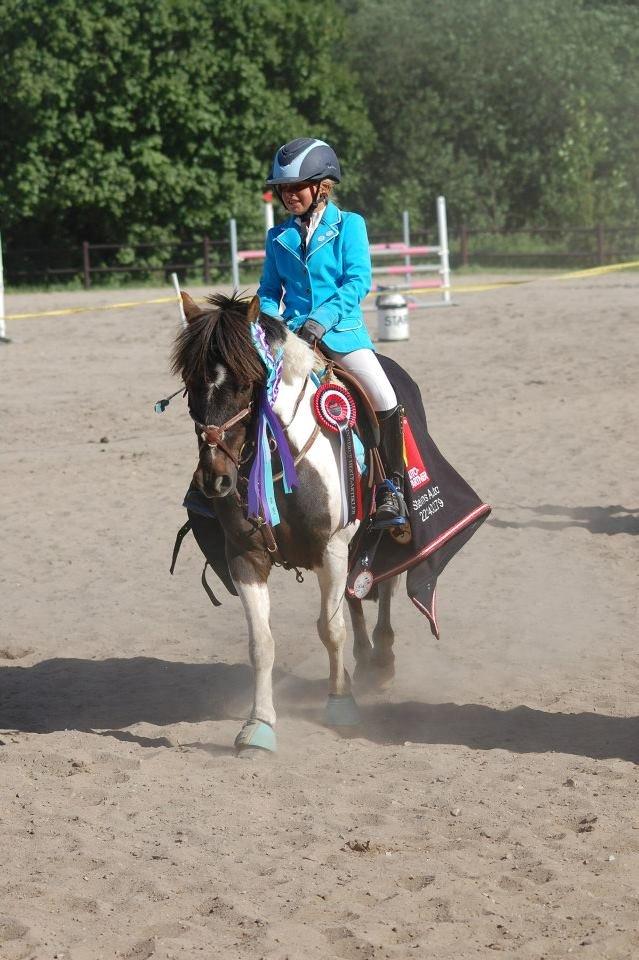 Anden særlig race Victor billede 8