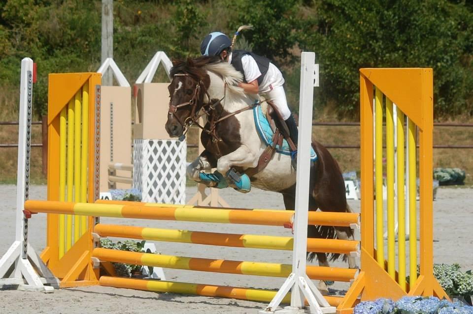 Anden særlig race Victor billede 9