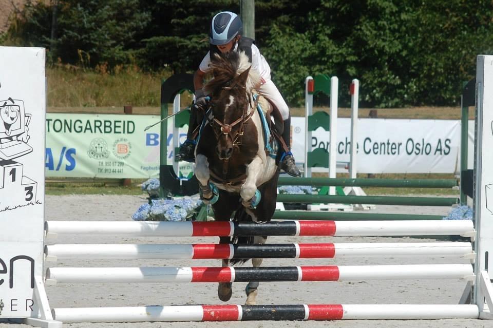 Anden særlig race Victor billede 10
