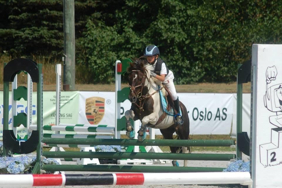 Anden særlig race Victor billede 11