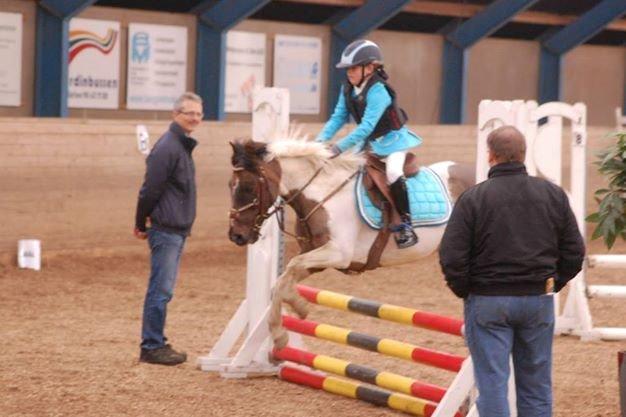 Anden særlig race Victor billede 14