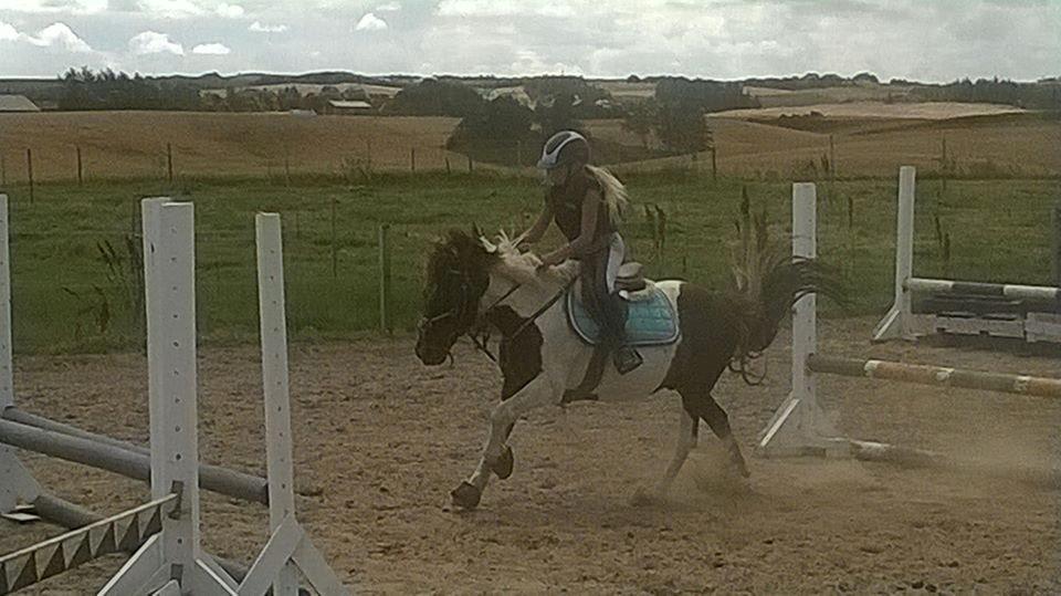 Anden særlig race Victor billede 15