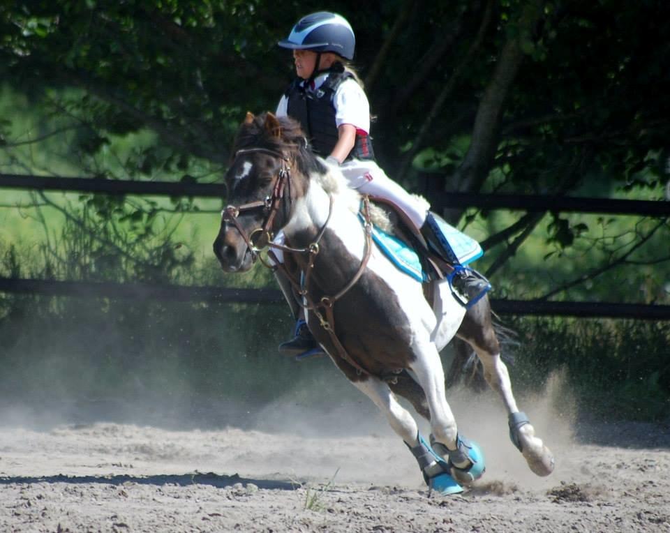 Anden særlig race Victor billede 17