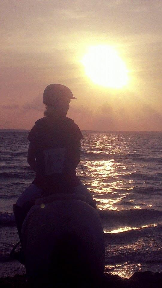 Anden særlig race Manou  *Klubmester spring 2012* - første gang ved vandet(pause ved jagt) billede 16