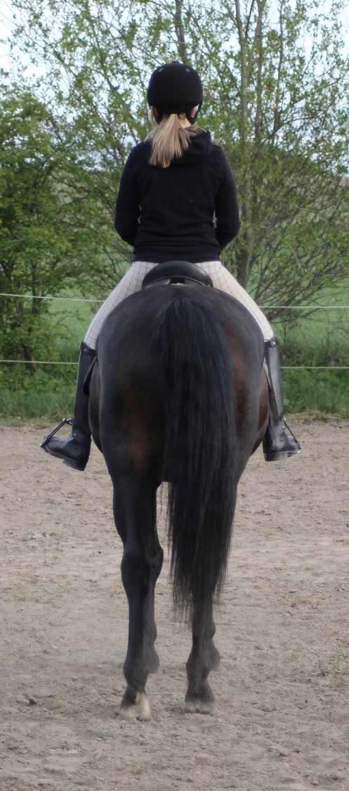 Oldenborg La&#180;vett billede 20