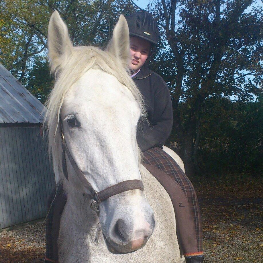 Boulonnais Affaire du tilleul (SOLGT) - første gang hun havde rytter på :-) billede 5