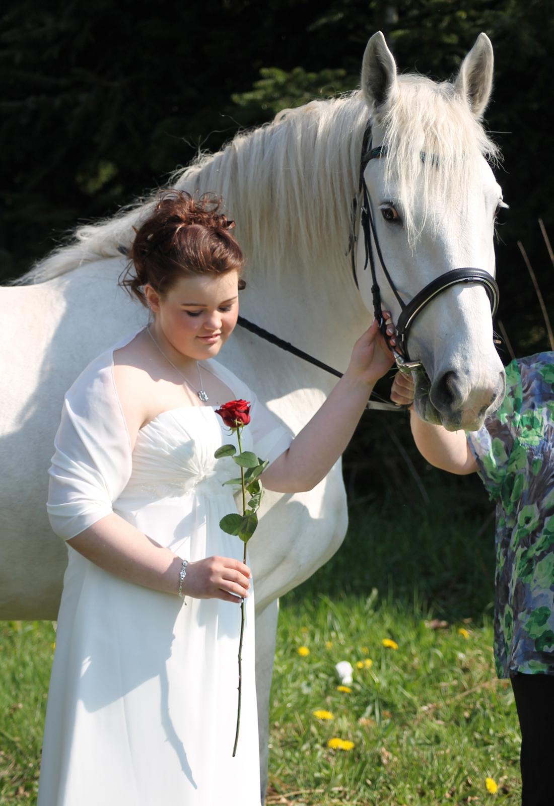Boulonnais Affaire du tilleul (SOLGT) - den bedste dag i mit liv  billede 8