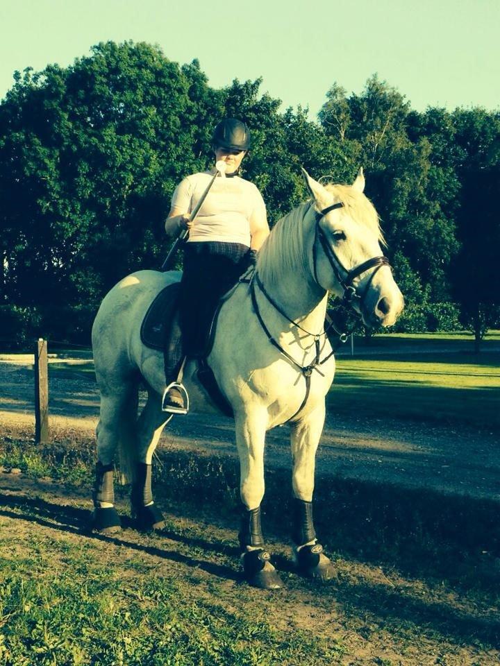 Boulonnais Affaire du tilleul (SOLGT) - Vi øvede ringridnig også tog gjeg den helt lille ring på hende :-) billede 9