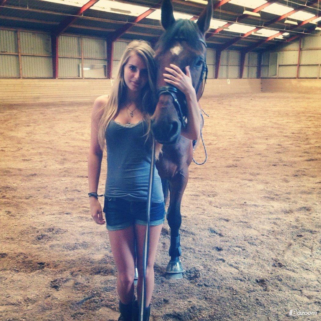 Dansk Varmblod Mayol billede 18