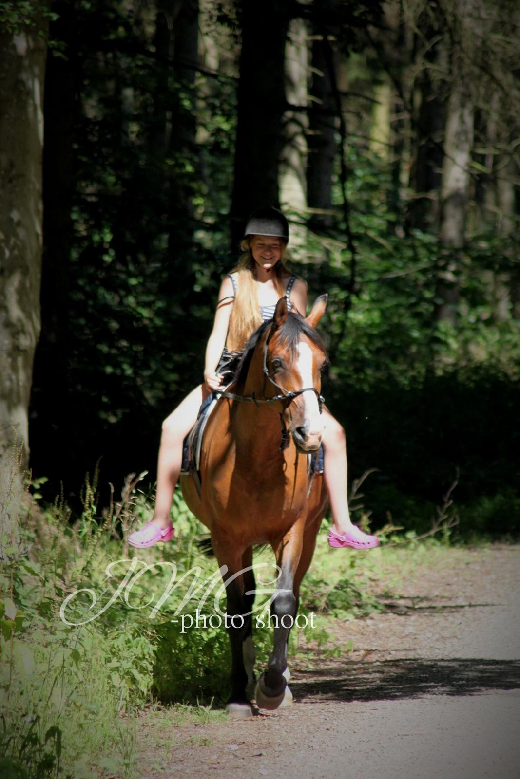 Anden særlig race Pedro El Valentino [Pede] - Velkommen til Pedro El Valentinoe :-) En hest jeg har haft den største glæde af! Her ses han med sin part Natasha :-) foto: mig selv billede 1