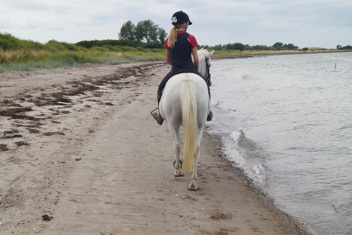 Anden særlig race Maicha - Sommer 2014 billede 13
