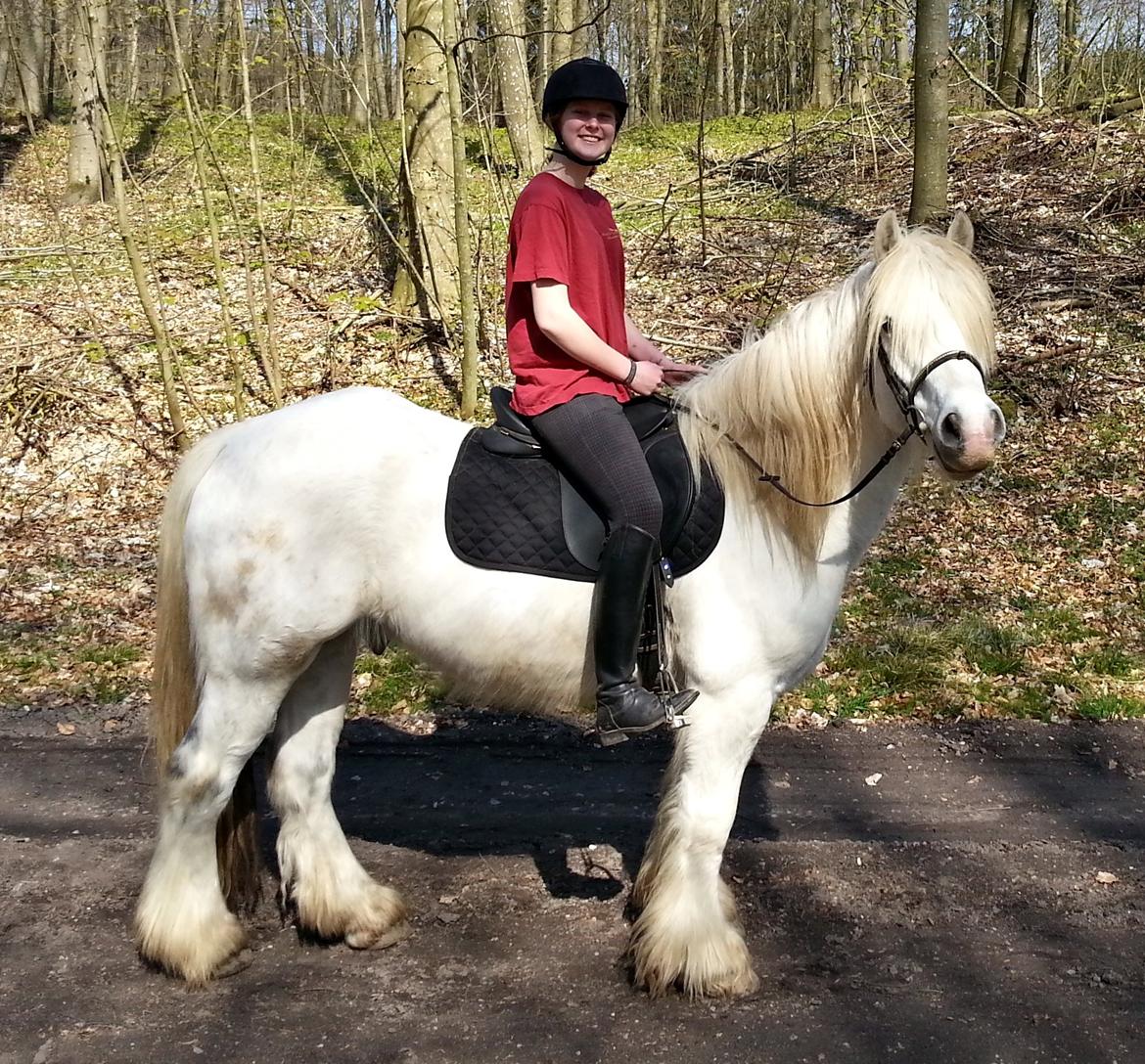 Tinker Ulvebakgaards Tango billede 2