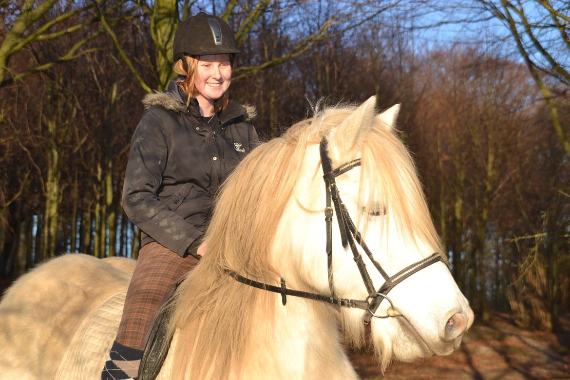 Tinker Ulvebakgaards Tango billede 9