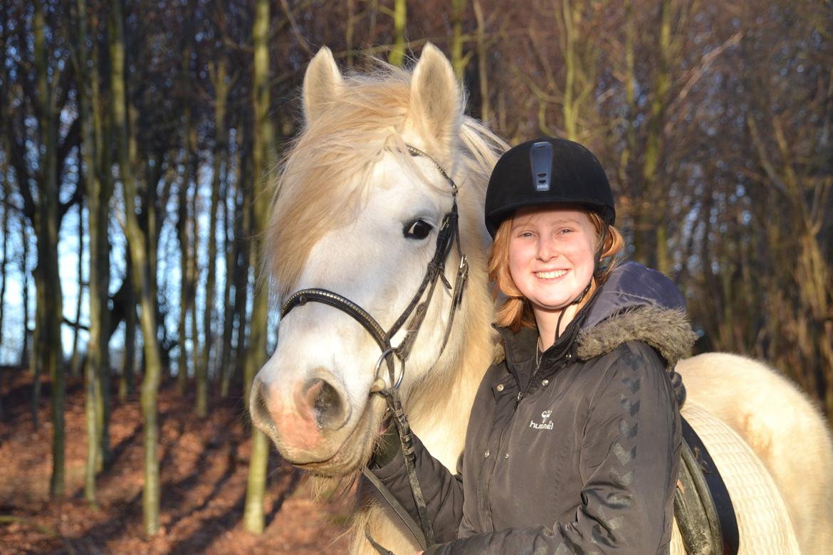 Tinker Ulvebakgaards Tango billede 12