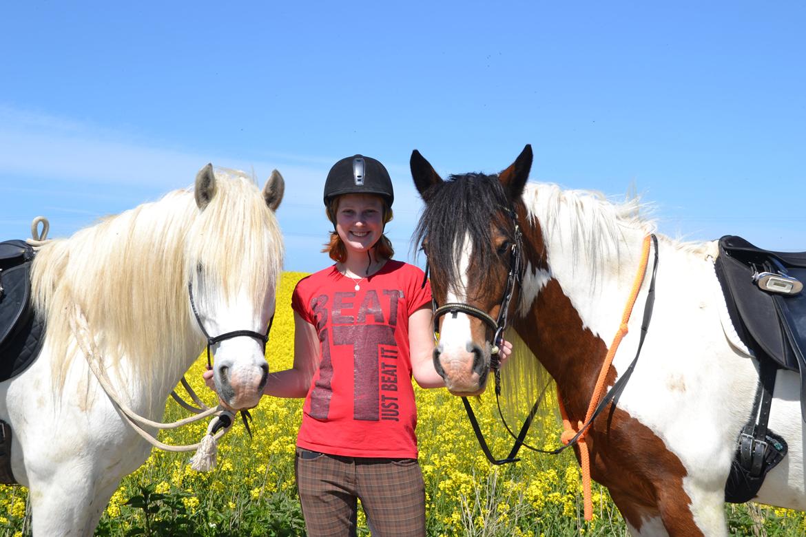 Tinker Ulvebakgaards Tango - Tango og Caramina billede 11