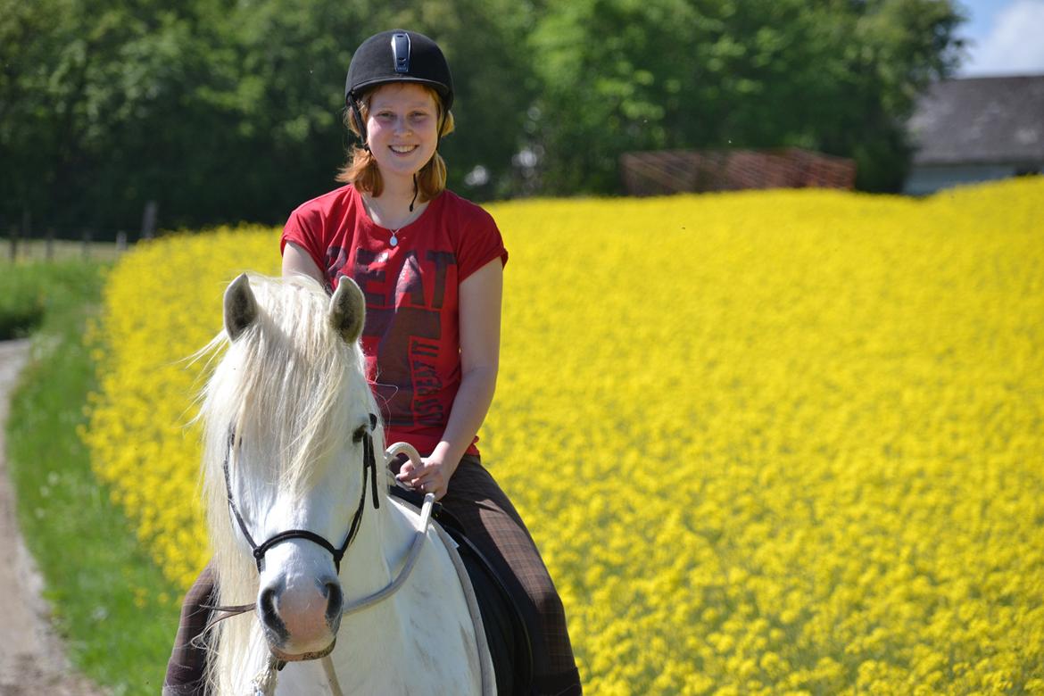 Tinker Ulvebakgaards Tango billede 5