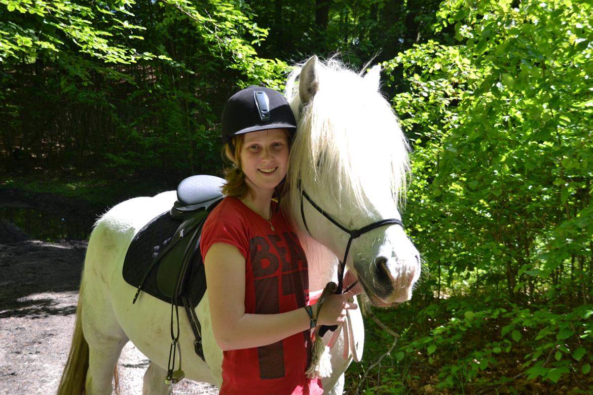 Tinker Ulvebakgaards Tango billede 8