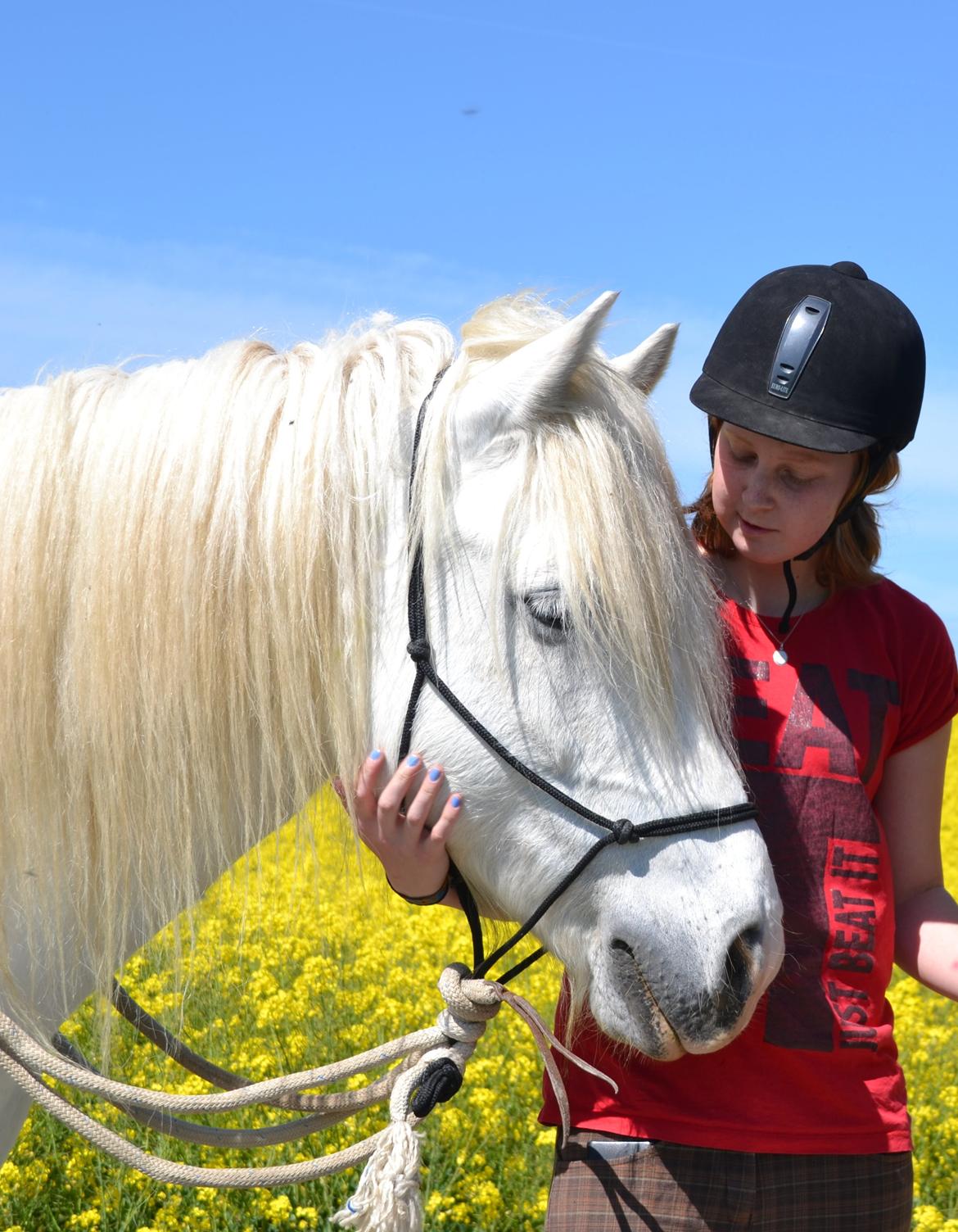 Tinker Ulvebakgaards Tango billede 10
