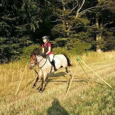 Anden særlig race Manou  *Klubmester spring 2012* - Første jagt:-) hun var så sej! billede 3