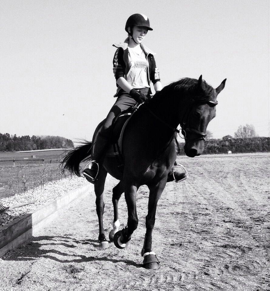 DSP Villagårdens Momo billede 2