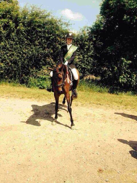 DSP Villagårdens Momo billede 6