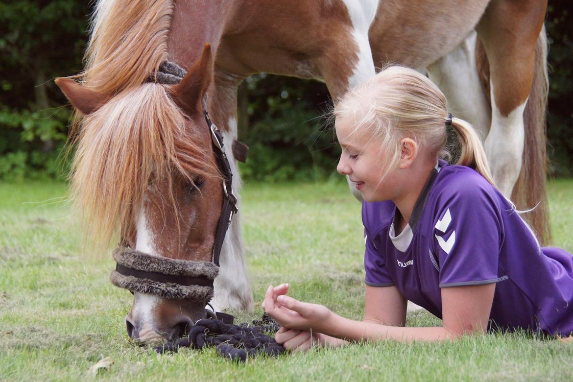 Anden særlig race Indy billede 11