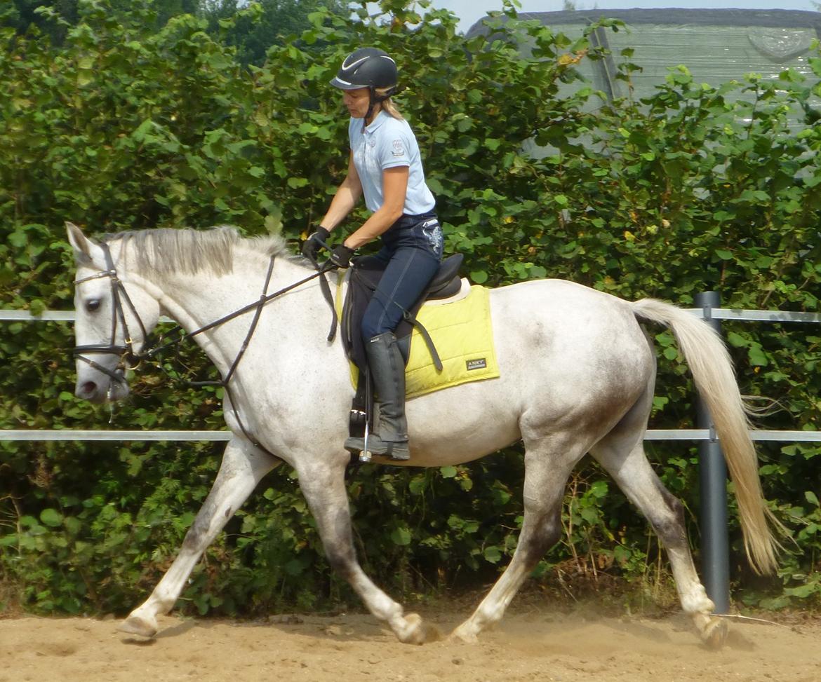 Anden særlig race Zera - juli 2014 billede 30