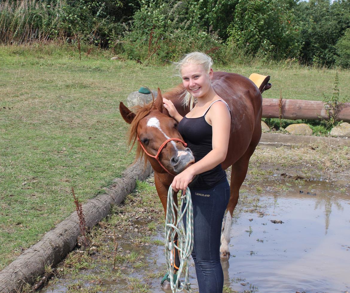 Quarter Starlight Xpress - I vandgraven til Western Trail event på Langå militarybane billede 8