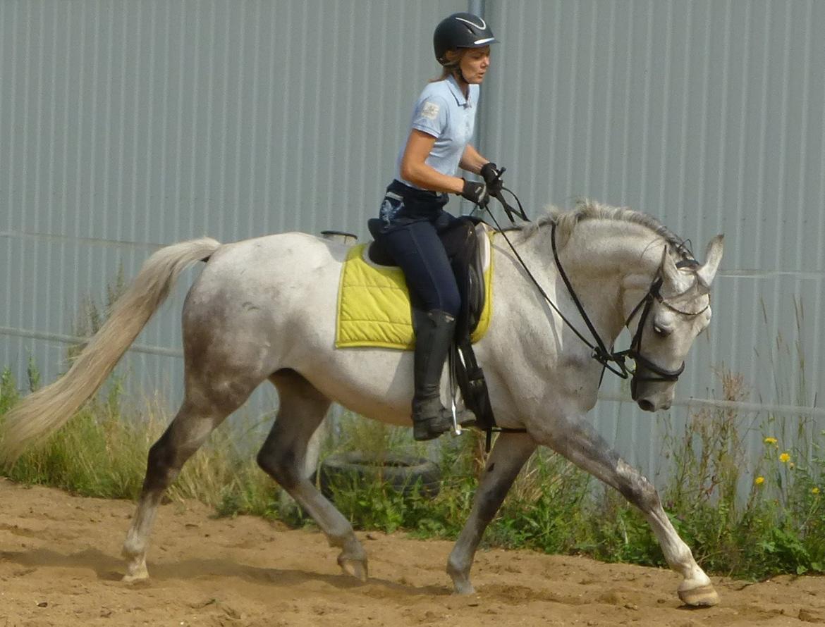 Anden særlig race Zera - juli 2014 billede 1