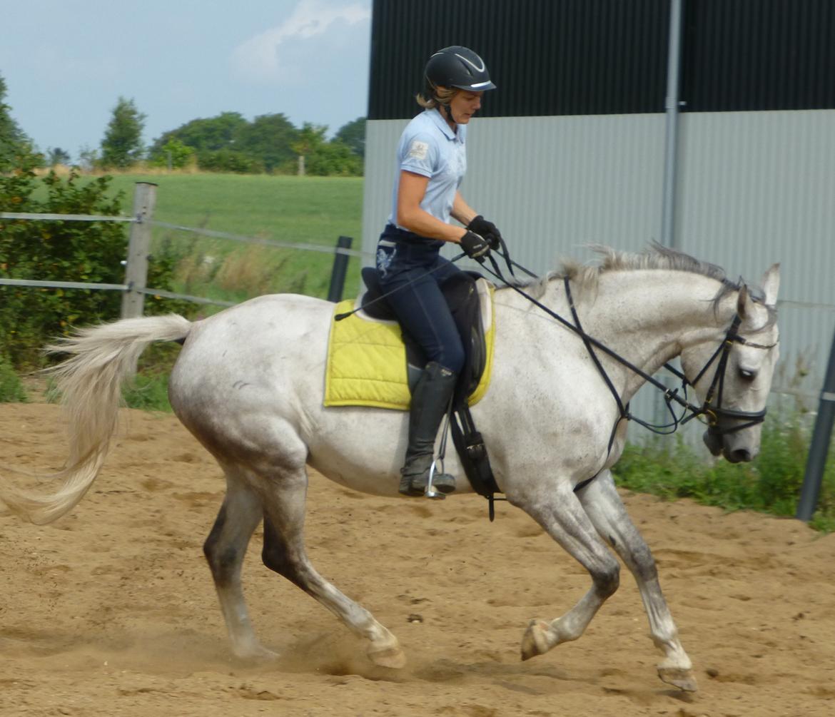 Anden særlig race Zera - juli 2014 billede 32