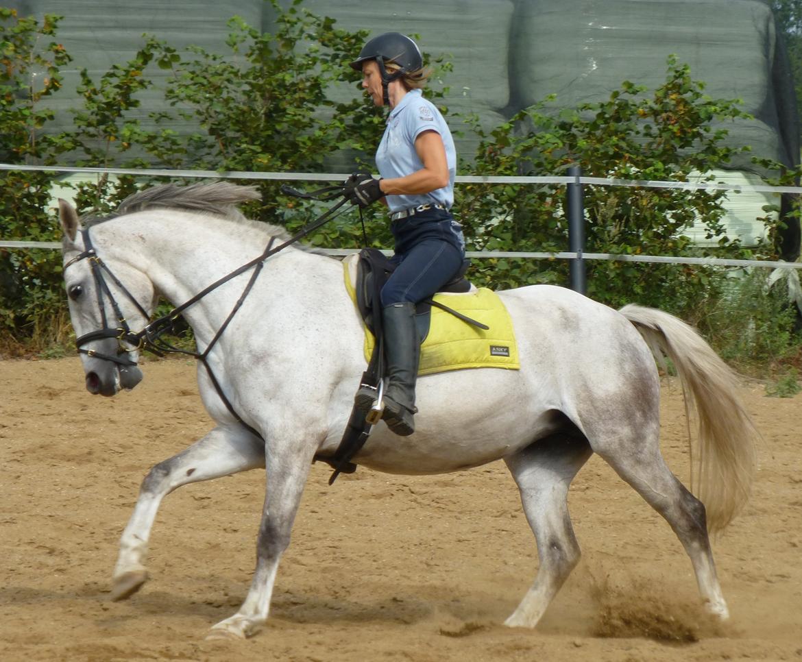 Anden særlig race Zera - juli 2014 billede 33