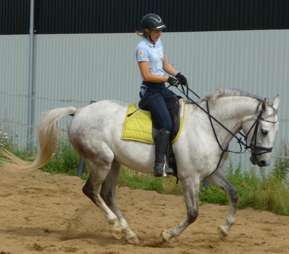 Anden særlig race Zera - juli 2014 billede 31