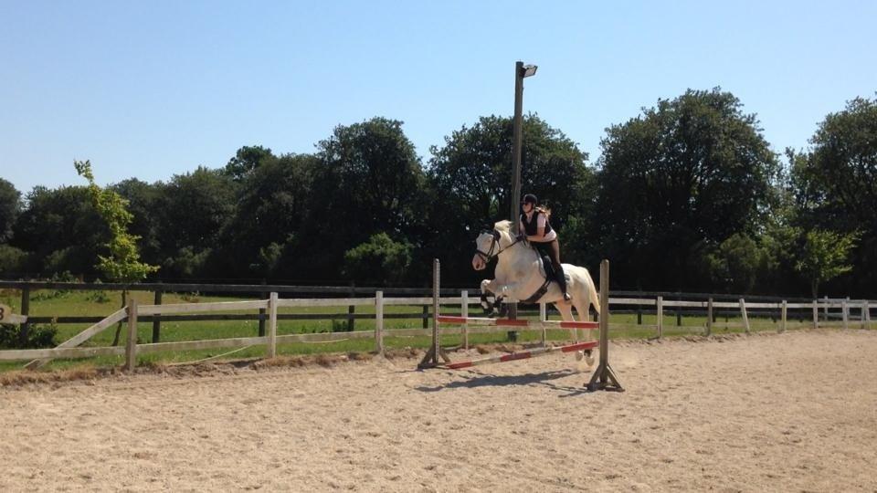 Paint Tophat *Topper* billede 3