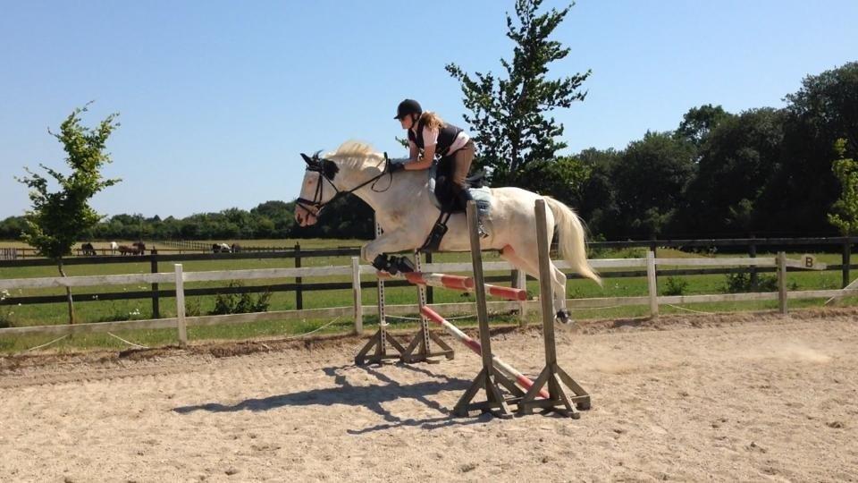 Paint Tophat *Topper* billede 5