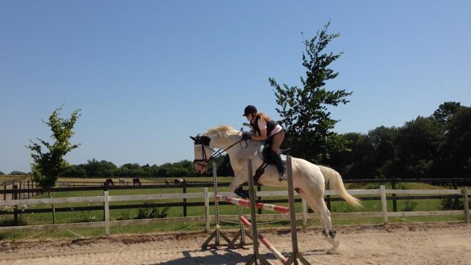 Paint Tophat *Topper* - 110 cm <3 billede 1