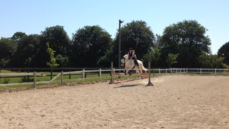 Paint Tophat *Topper* billede 7