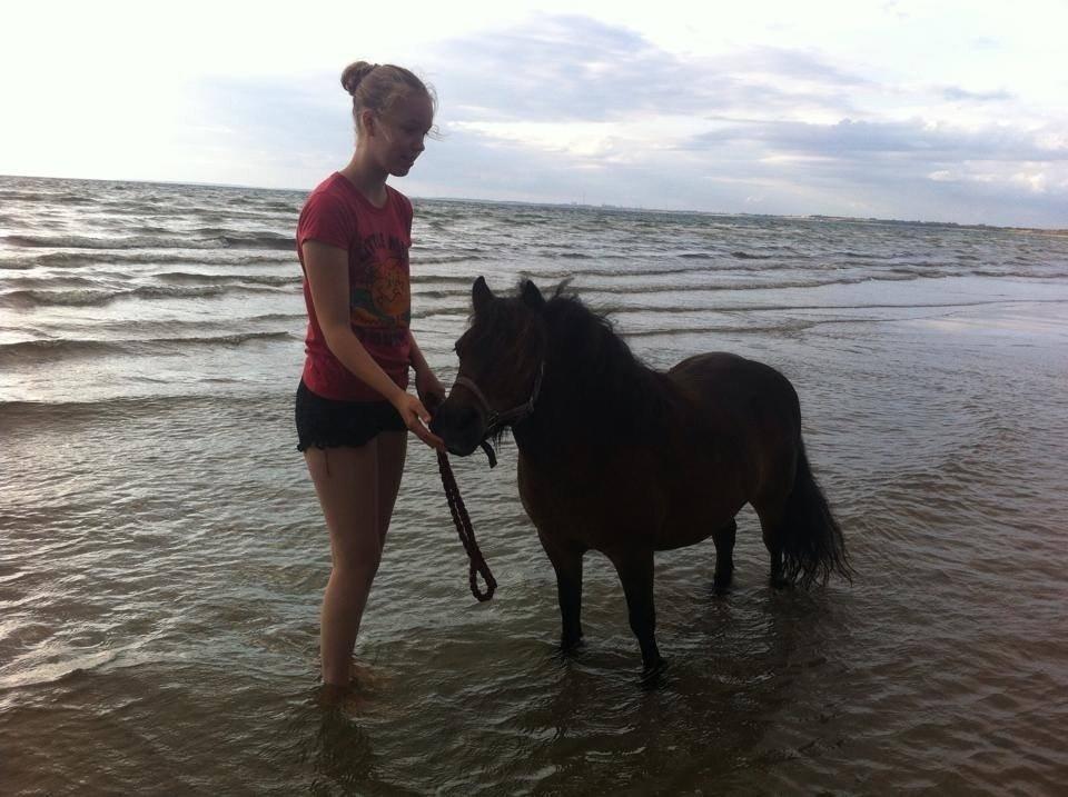 Shetlænder Felina Singerholm - Til stranden med min søster og hendes veninde :-) billede 10