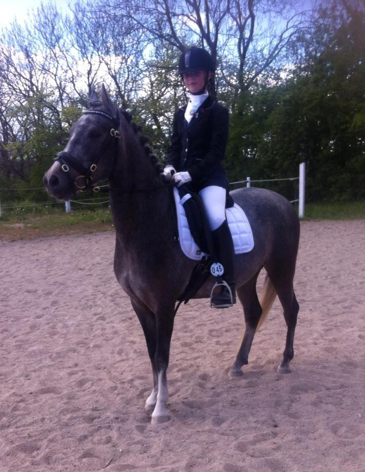 Anden særlig race Midnight Safari billede 9