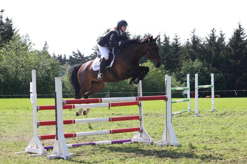 Dansk Varmblod Diana - Flyver igennem en LA* billede 1