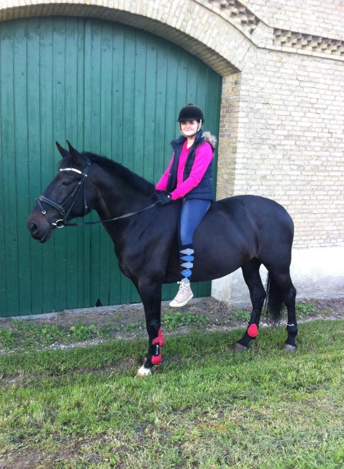 Anden særlig race Chili billede 19