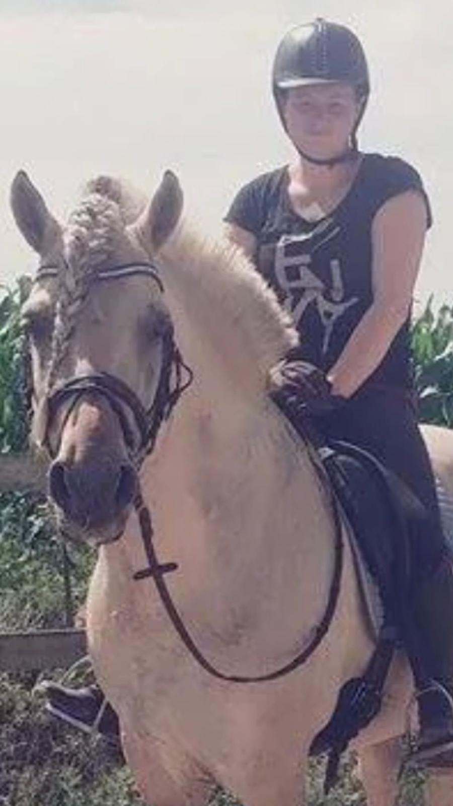 Fjordhest Mosegårdens Splint ELITE AVLSHINGST EFJH 729 - Efter en hård træning en varm sommerdag! billede 14