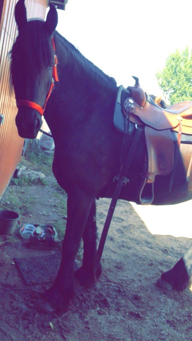 Frieser Rhiannon billede 3